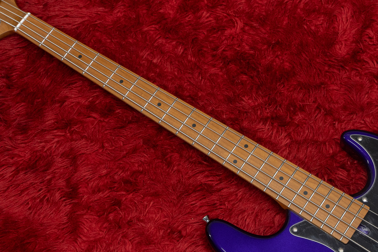 Bacchus WJB-1DX RSM/M IPM 3.875kg【GIB横浜】（新品/送料無料