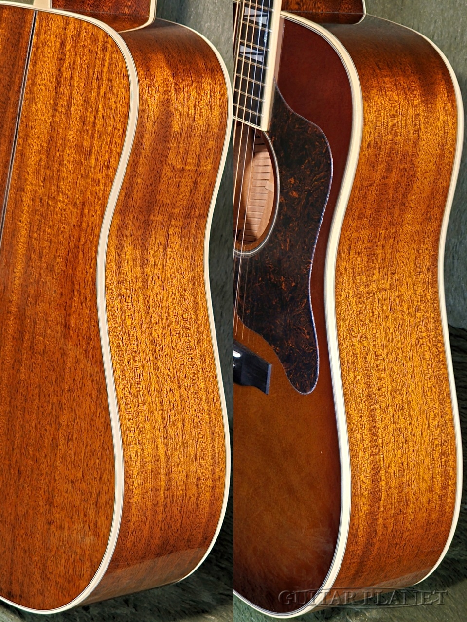 Stafford SAD-1999 VS -Made in Japan-【限定12本】【48回迄金利0%対象