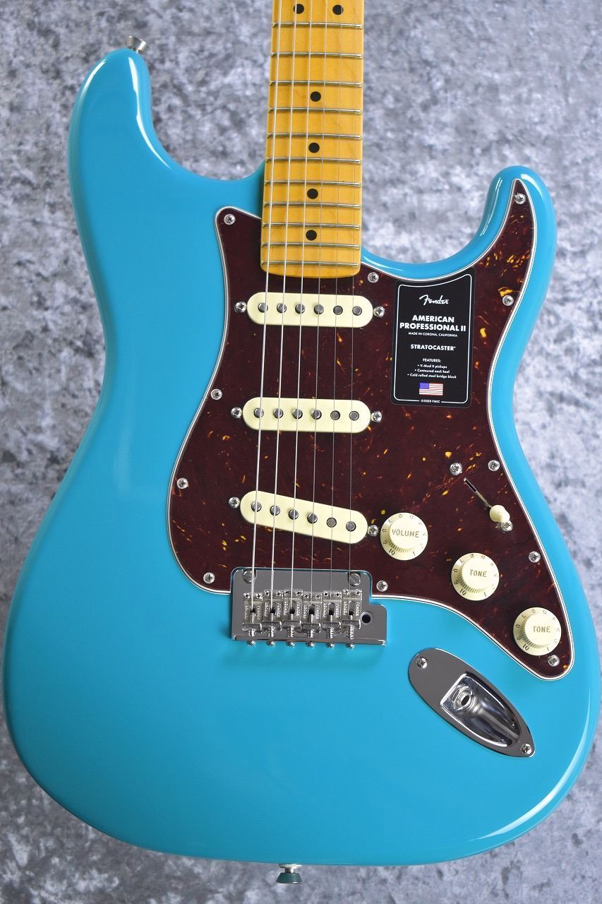 Fender American Professional ケース付 31まで値下 Fender FSR Limited Edition American Professional II