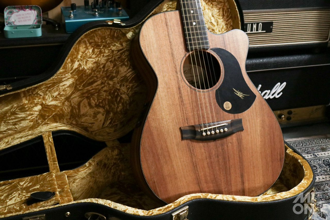 MATON EBW808 (Blackwood Series) 2019（中古）【楽器検索デジマート】