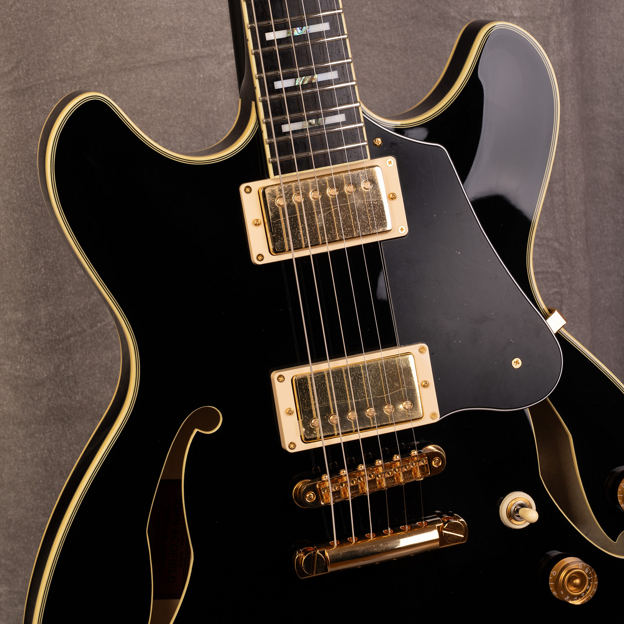 Ibanez JSM20TH-BK John Scofield Signature Guitar 20th