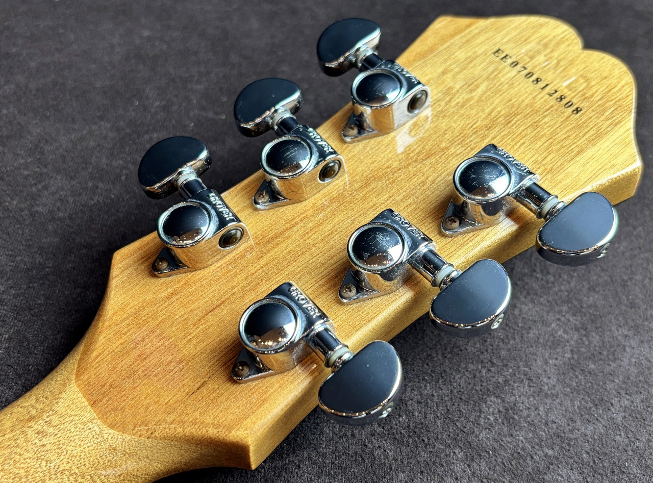 Epiphone DOT NA（中古）【楽器検索デジマート】