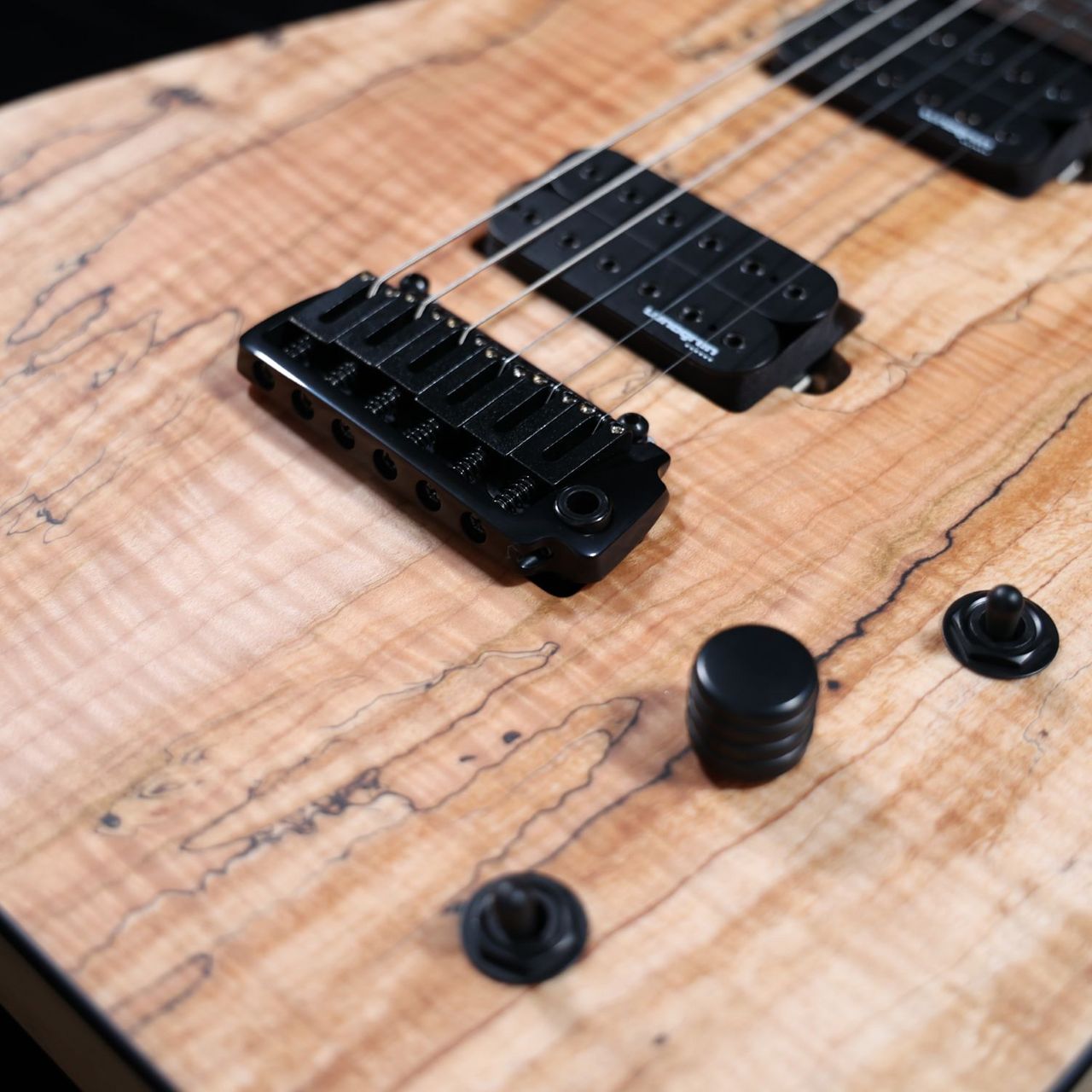 Skervesen Guitars Raptor 6 F.Spalted Maple（新品/送料無料）【楽器