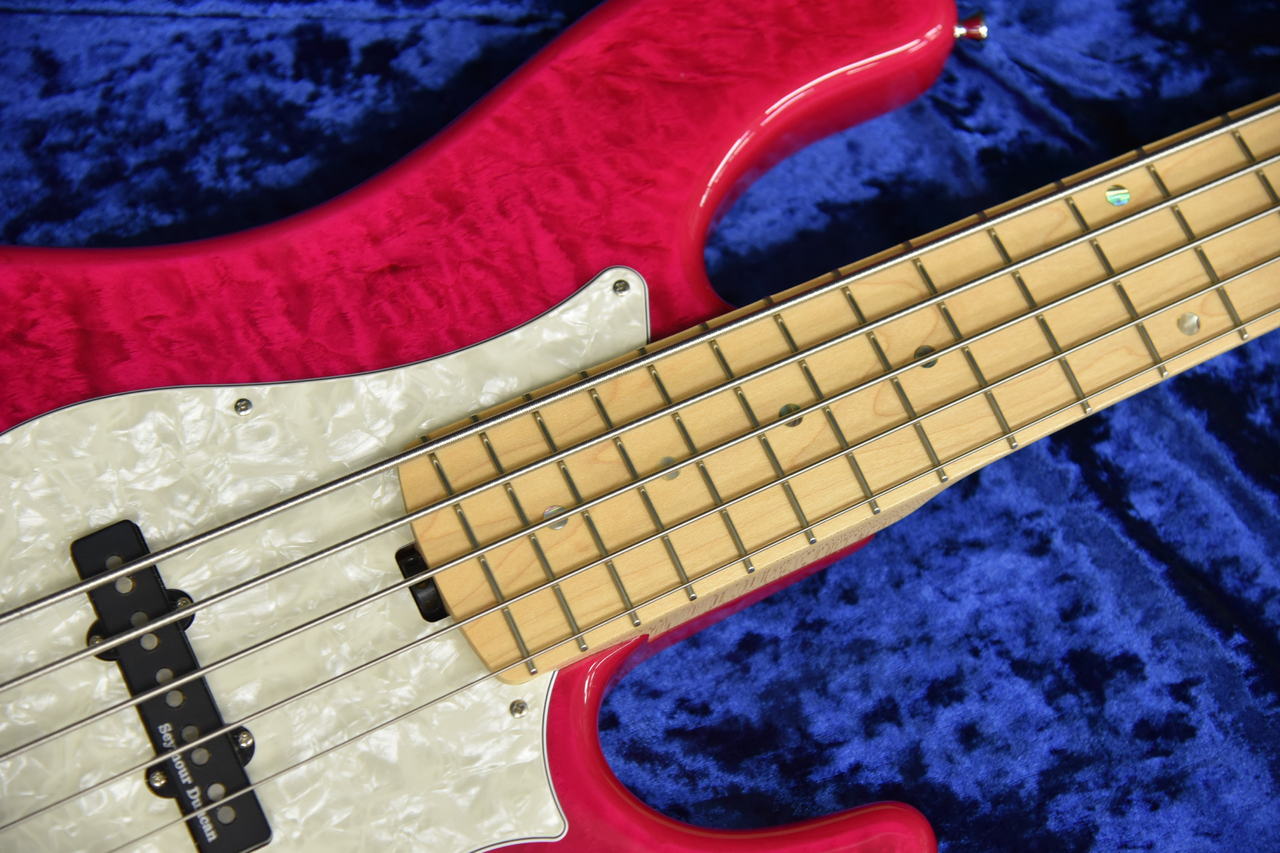 【美品】Edwards E-T-170BD ラルク tetsuya おまけ多数 美品】Edwards E-T-170BD ラルク tetsuya おまけ多数 希少