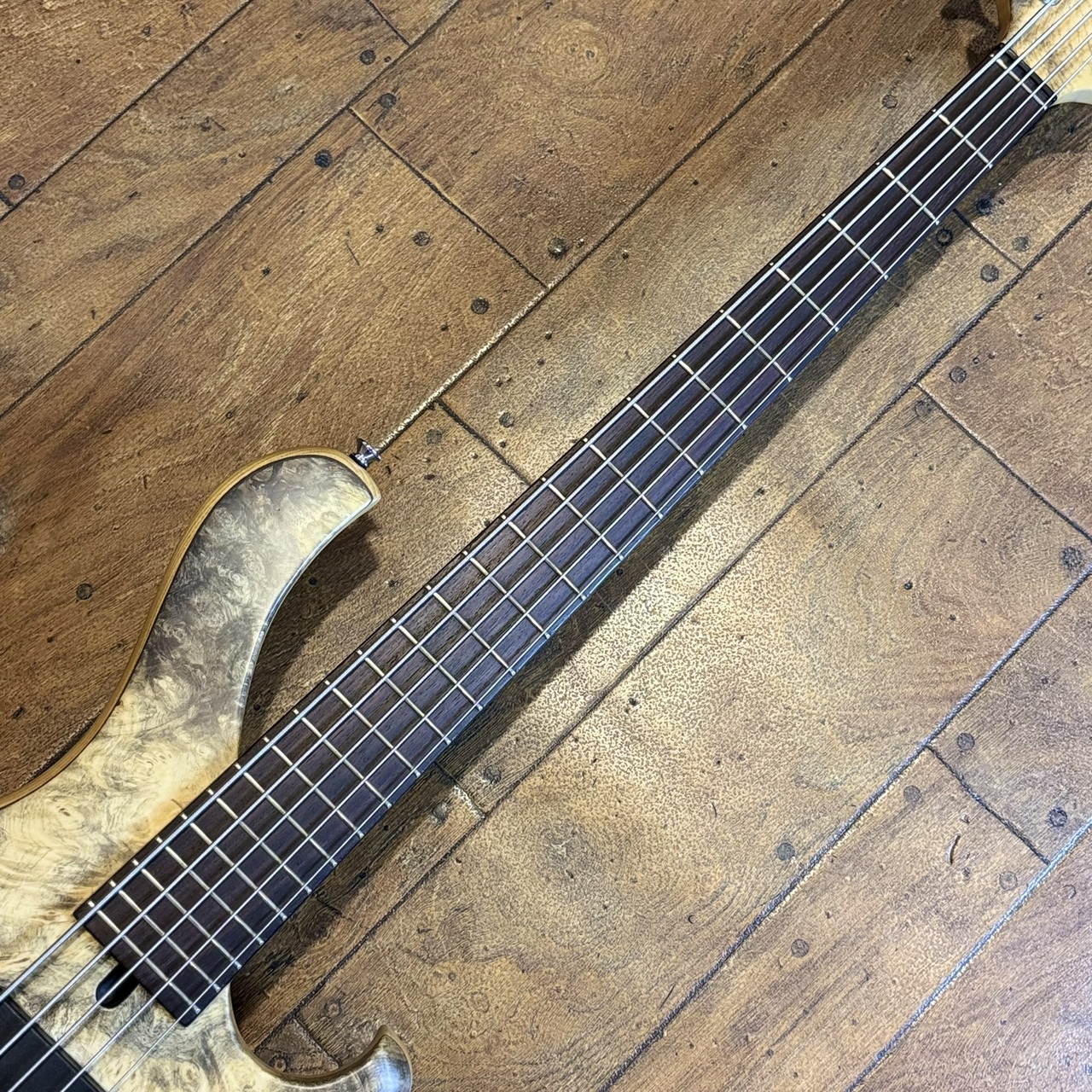 MARUSZCZYK Frog Omega 5a Buckeye Burl（中古/送料無料）【楽器検索
