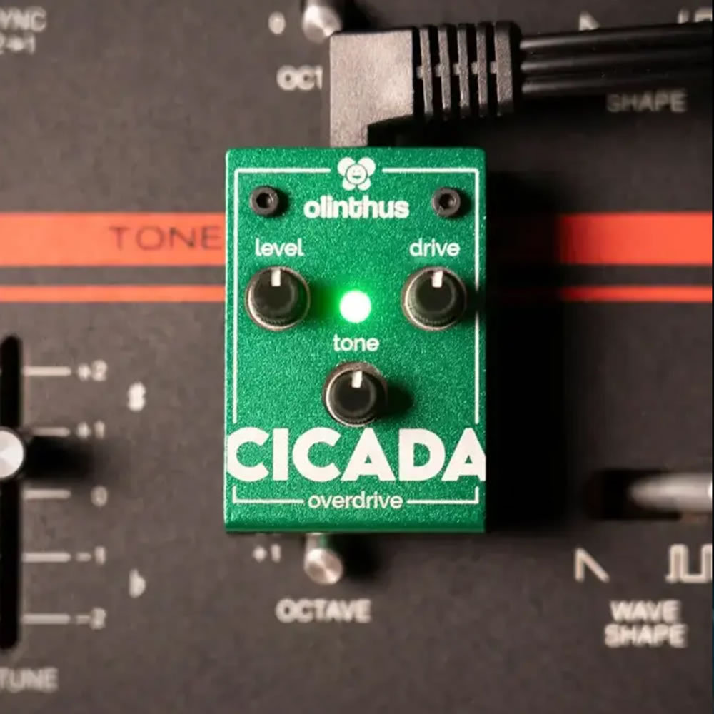 Olinthus CICADA 【世界最小のTS系エフェクター!】【即納可能】（新品