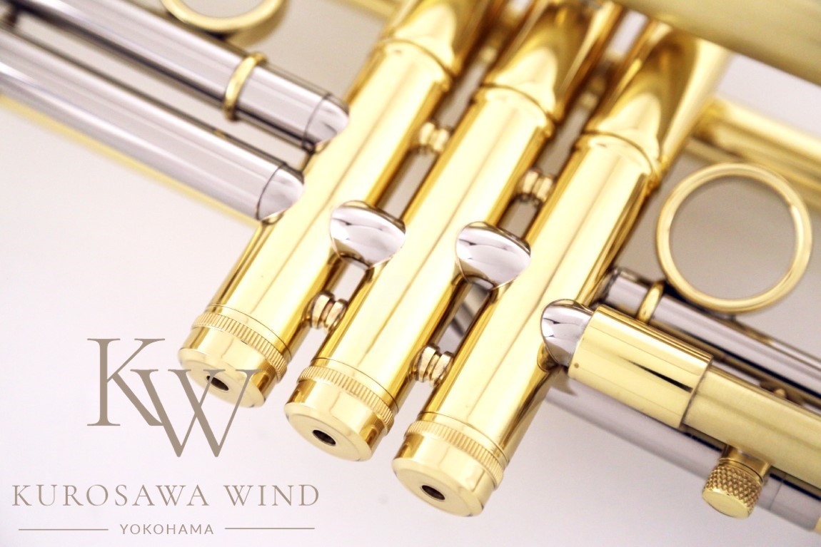 JP by Taylor | 【クロサワ楽器店オンラインショップ】いい楽器