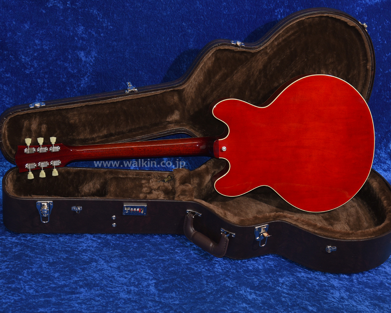 希少 Archtop Tribute AT-150D フルアコ Archtop Tribute AT150D（新品）【楽器検索デジマート】
