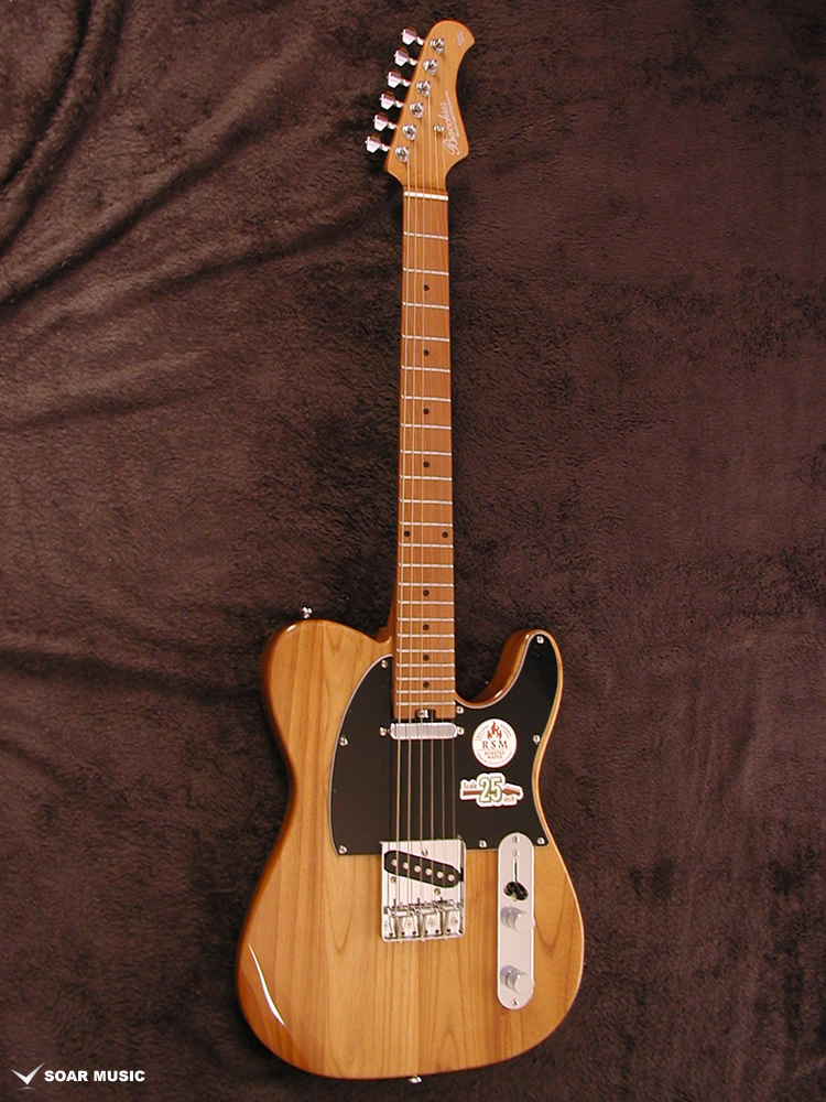 Bacchus BTE-ASH25 WRS/M NA（新品/送料無料）【楽器検索