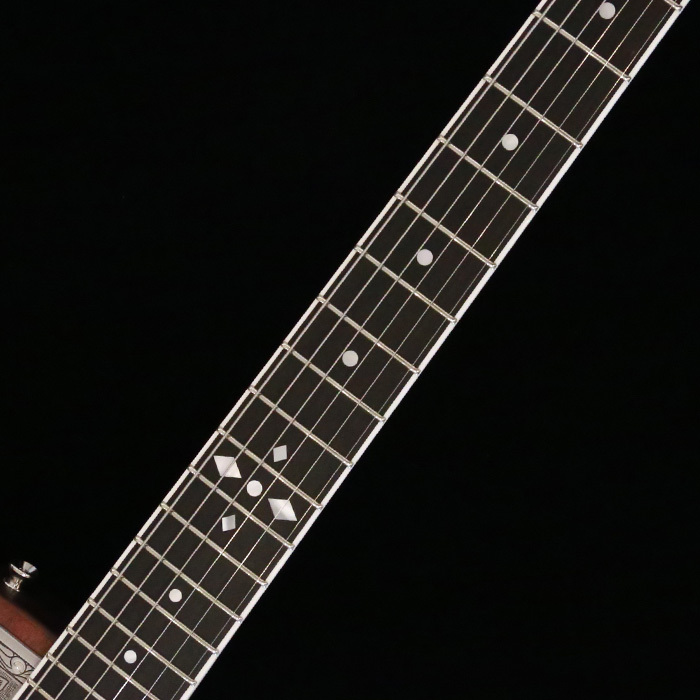 Zemaitis THE PORTRAIT Metal Front HISASHI Signature Model, Natural