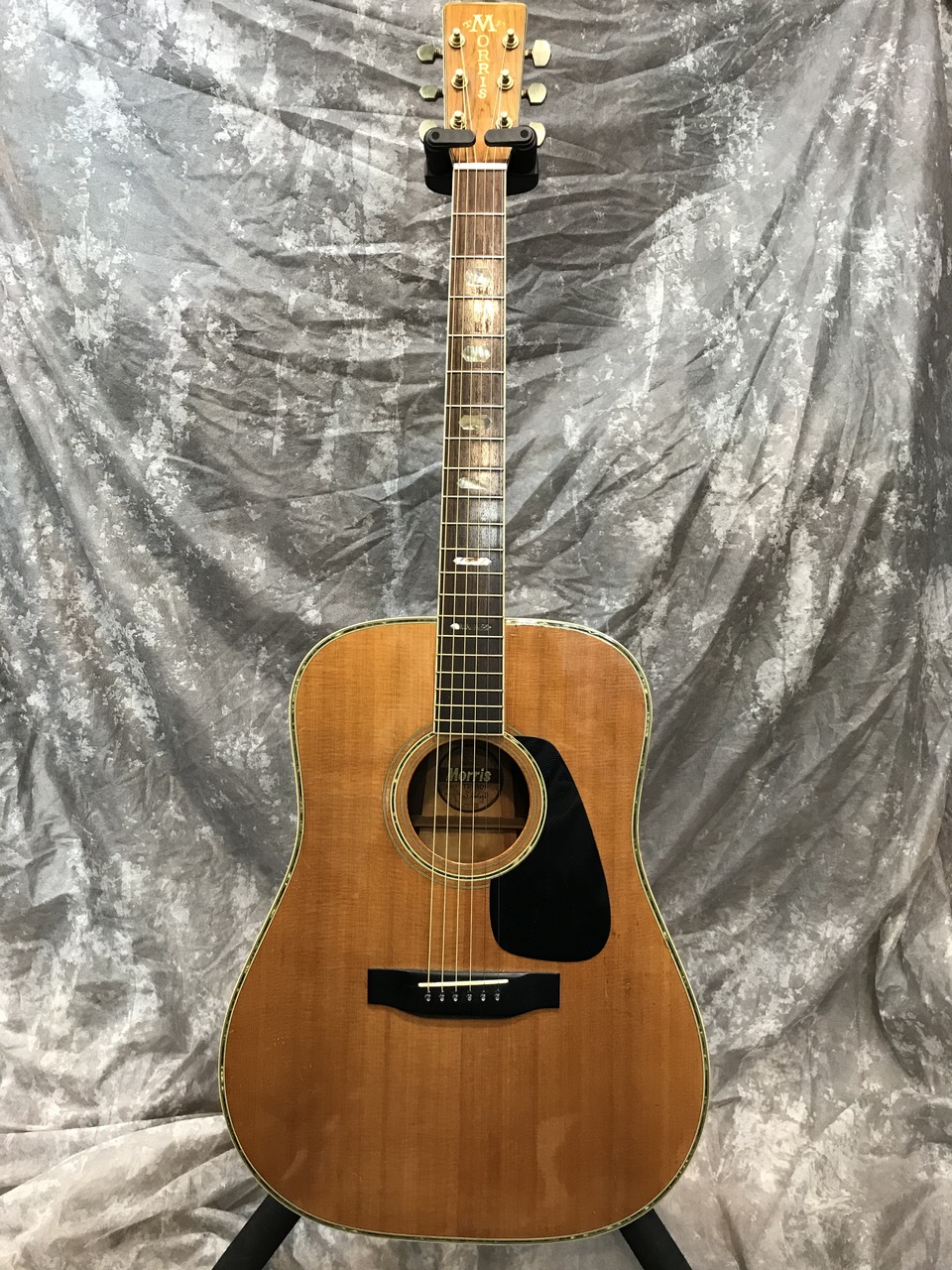 Morris TF-801（中古）【楽器検索デジマート】