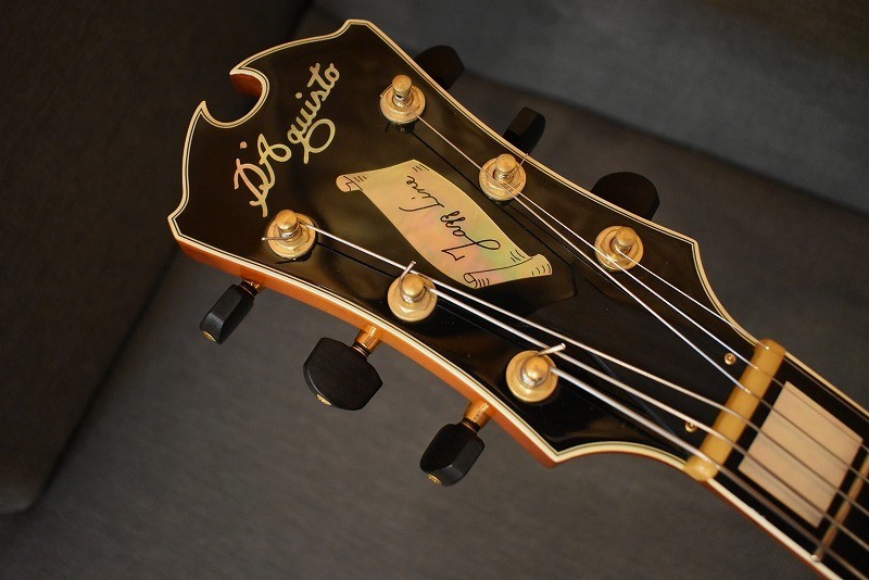 D'Aquisto DQ-JZ JAZZ LINE VLB【USED/2005年】（中古）【楽器検索