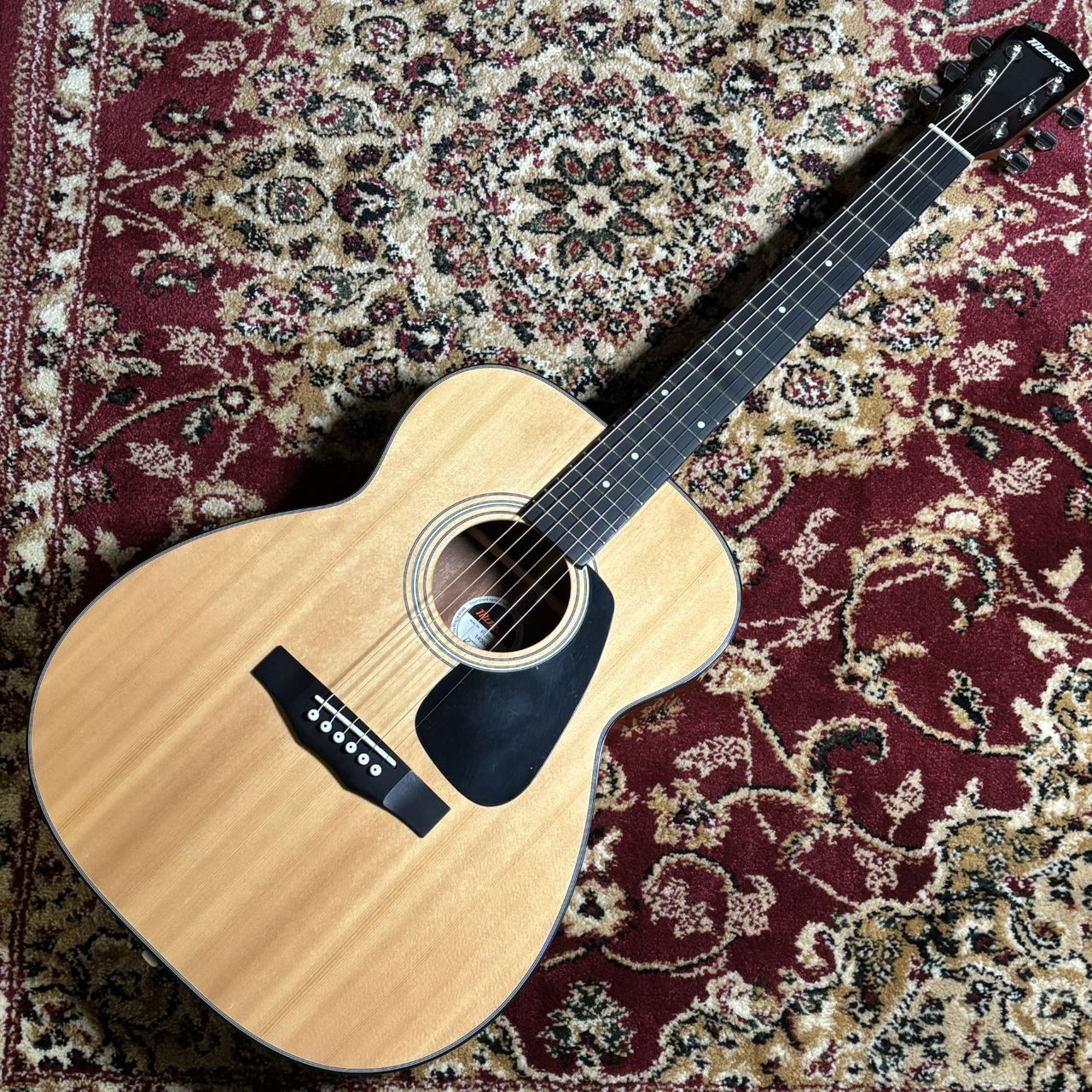Morris F-251 【現物写真】（中古/送料無料）【楽器検索デジマート】