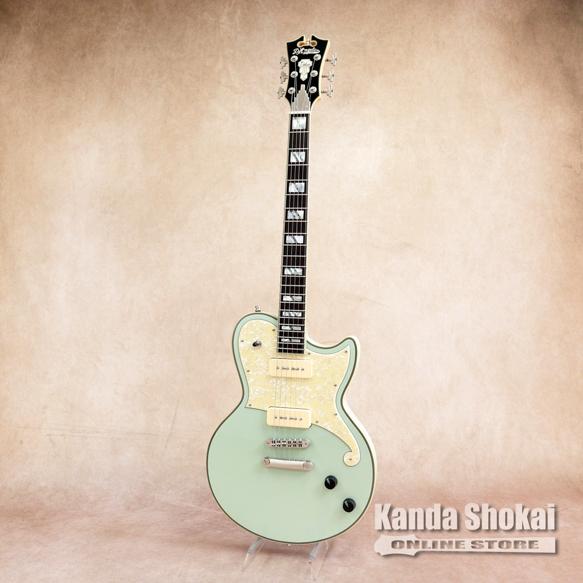 D'Angelico Deluxe Atlantic Limited Edition, Sage（新品/送料無料 ...