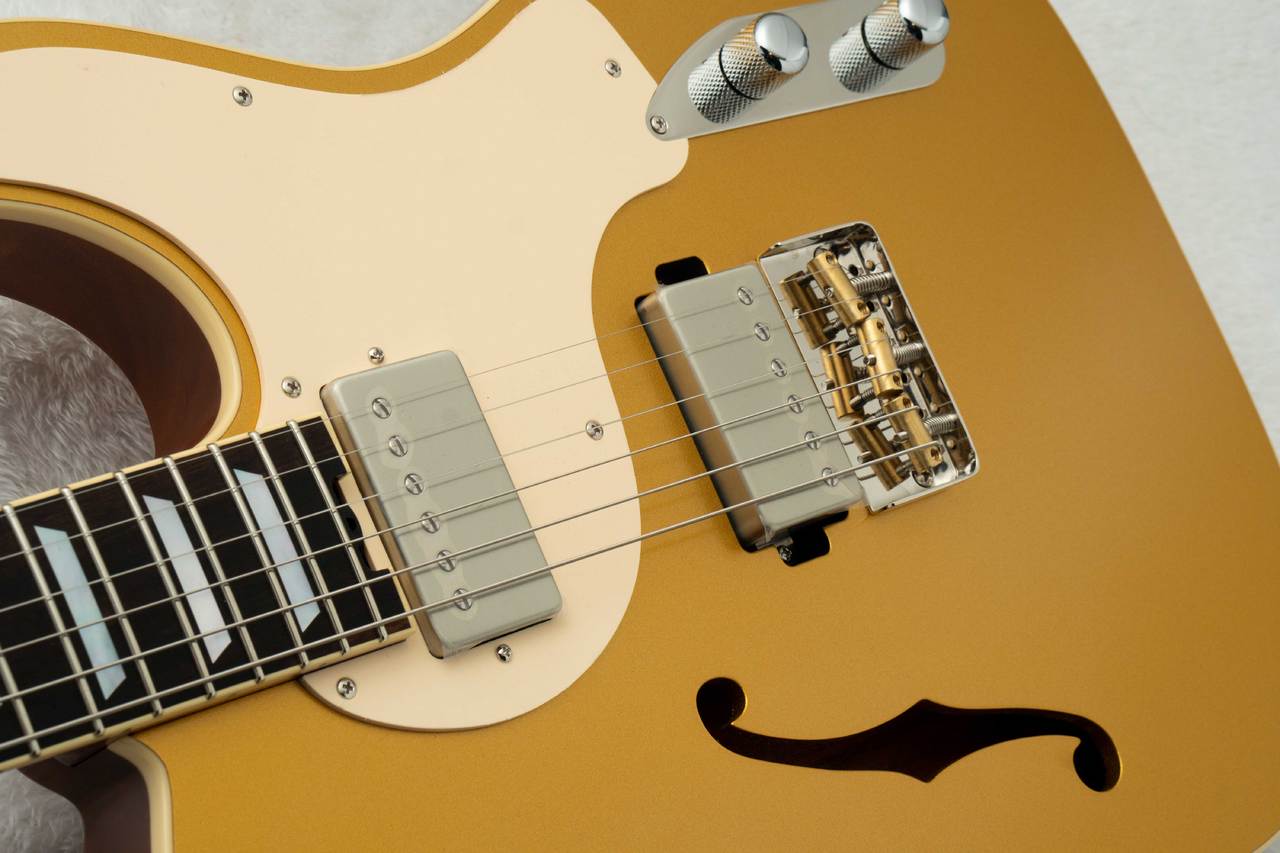 ハンドメイドギター　カマティーヨ　ジャンク品 Kz Guitar Works Kz TL Trad Semi-Hollow 22 2H8 Custom w/Brazilian