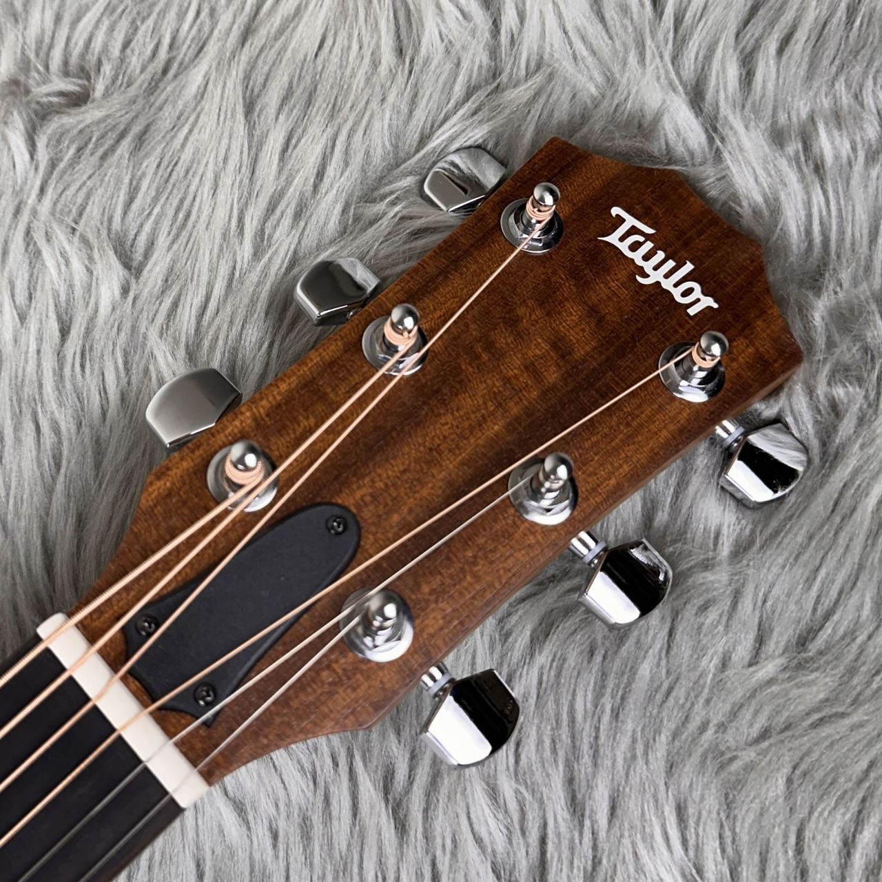 Taylor 【現物写真】Academy 10e エレアコ アコースティックギター