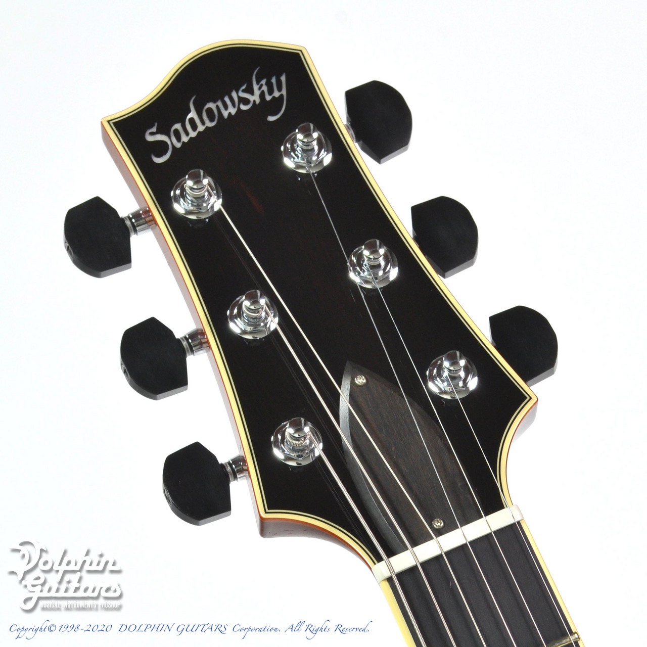 Semi-Hollow/Sadowsky セミアコースティックギター