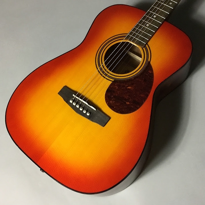 美品 Cort GUITARS CAG-1F 粗悪 Natural 純正ギグバッグ