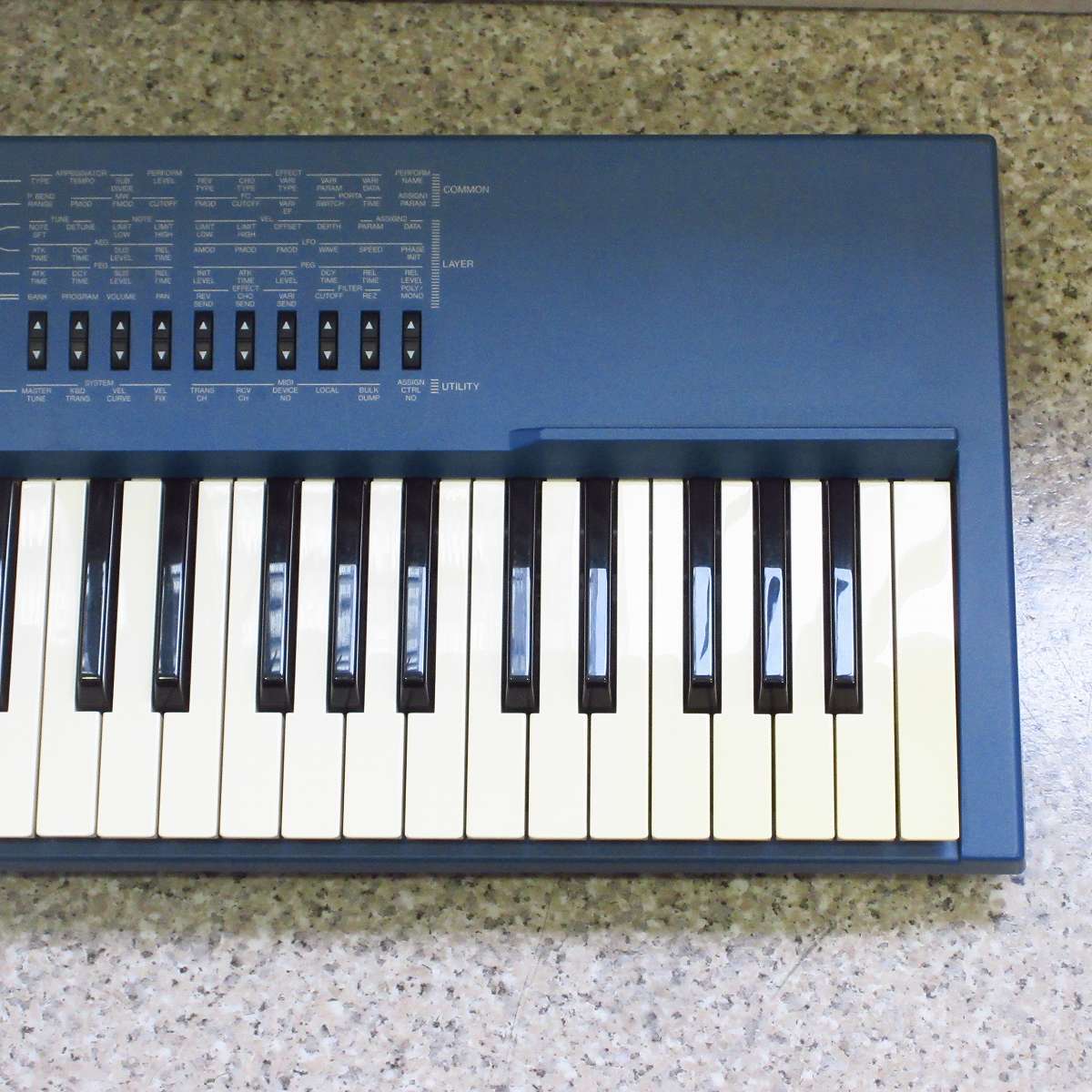 YAMAHA CS1x 