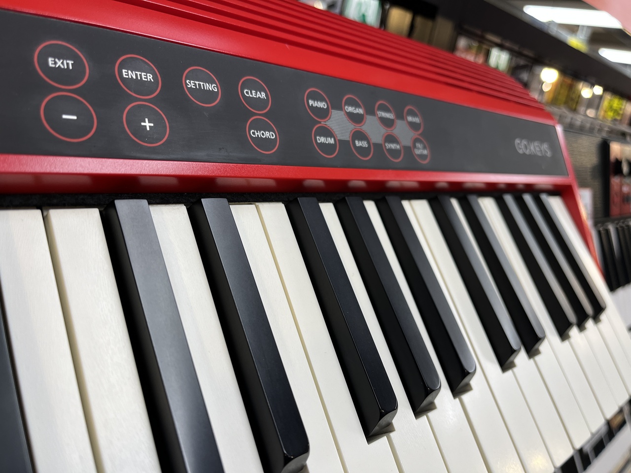 ローランド】GO:KEYS GO-61K【電子ピアノ】 - www.stedile.com.br