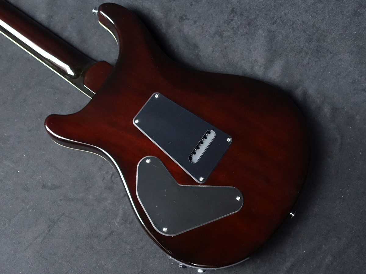 Paul Reed Smith(PRS) SE Custom 24 Semi-Hollow Piezo Orange Tiger