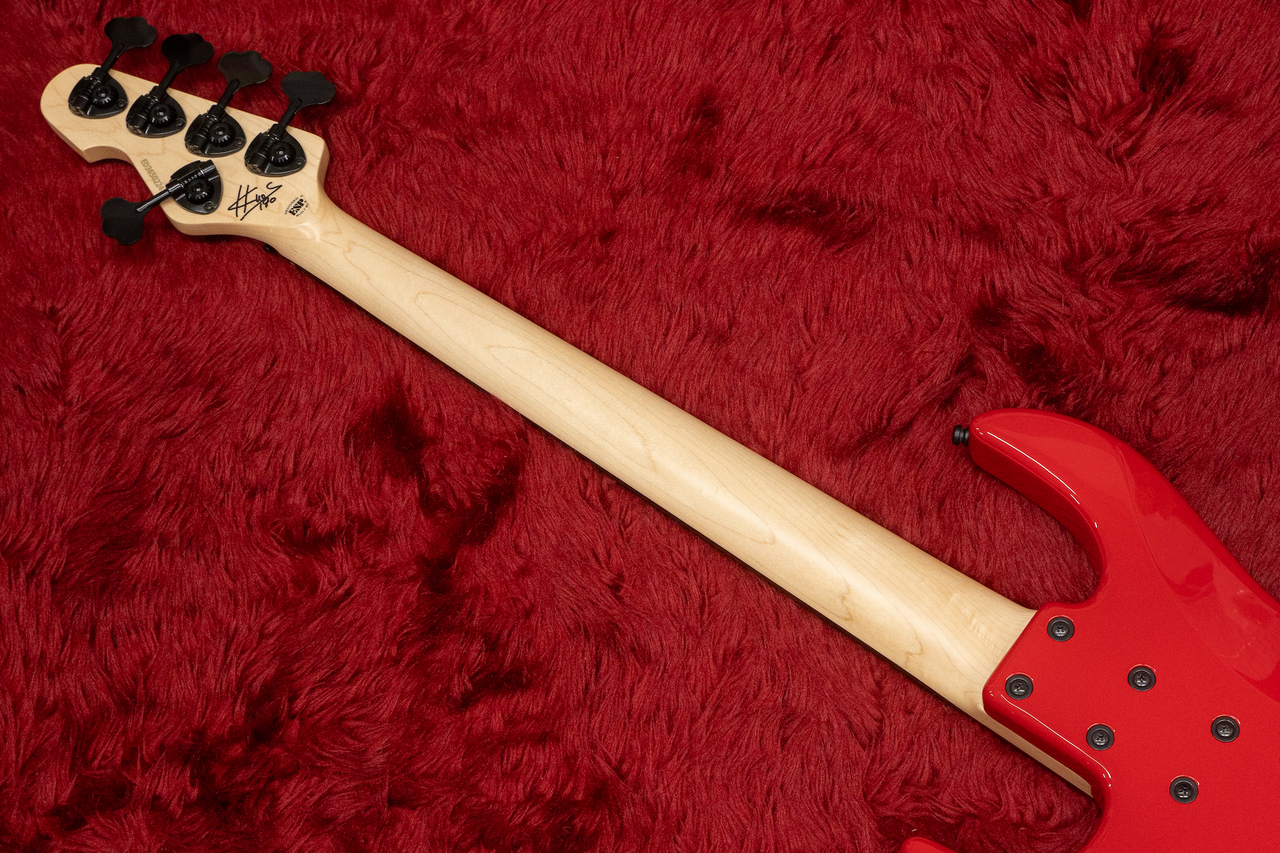 EDWARDS E-AMAZE-5-190 #ED3650224 4.495kg【GIB横浜】（中古/送料無料
