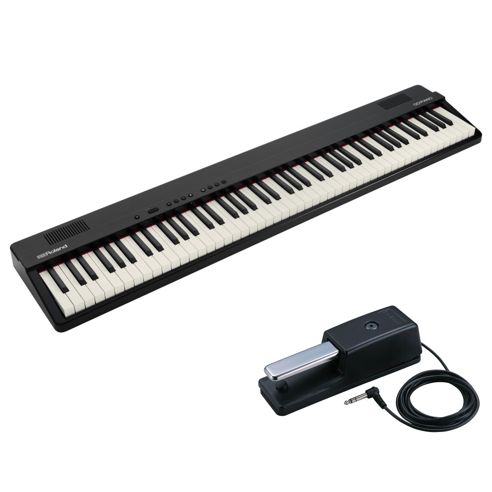 Roland GO-88PX GO:PIANO88 Entry Keyboard Piano エントリー