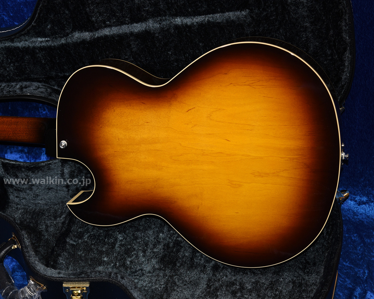 Archtop Tribute AT101 Classic（新品）【楽器検索デジマート】