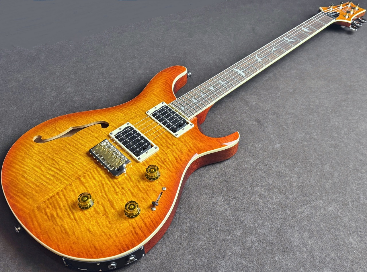 Paul Reed Smith(PRS) SE Custom 24 Semi-Hollow Piezo（中古）【楽器