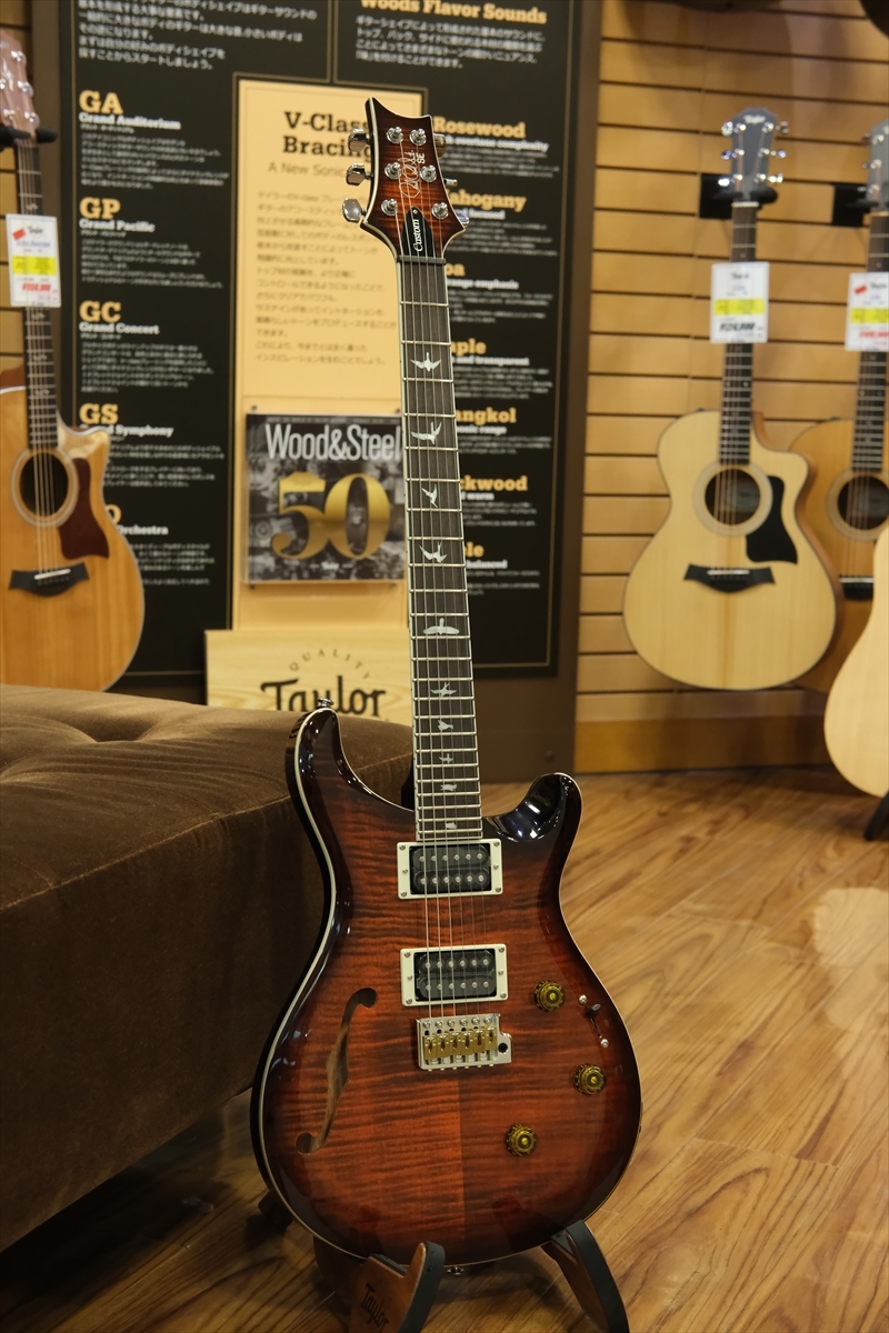 Paul Reed Smith(PRS) SE Custom 24 Semi-Hollow Piezo