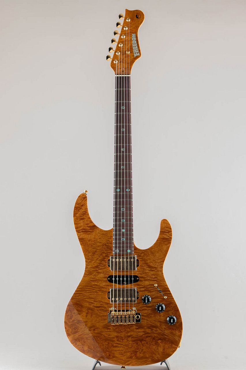 りく FREEDOM CUSTOM GUITAR RESEARCH EZa EZa - Freedom Custom Guitar Research