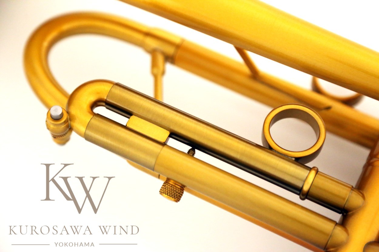 Taylor Chicago 46Ⅱ Standard 【新品/New】【テイラー