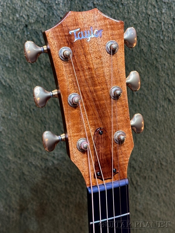 Taylor 【Hand Selected】BTO Custom GA Koa Florentine -AA Grade