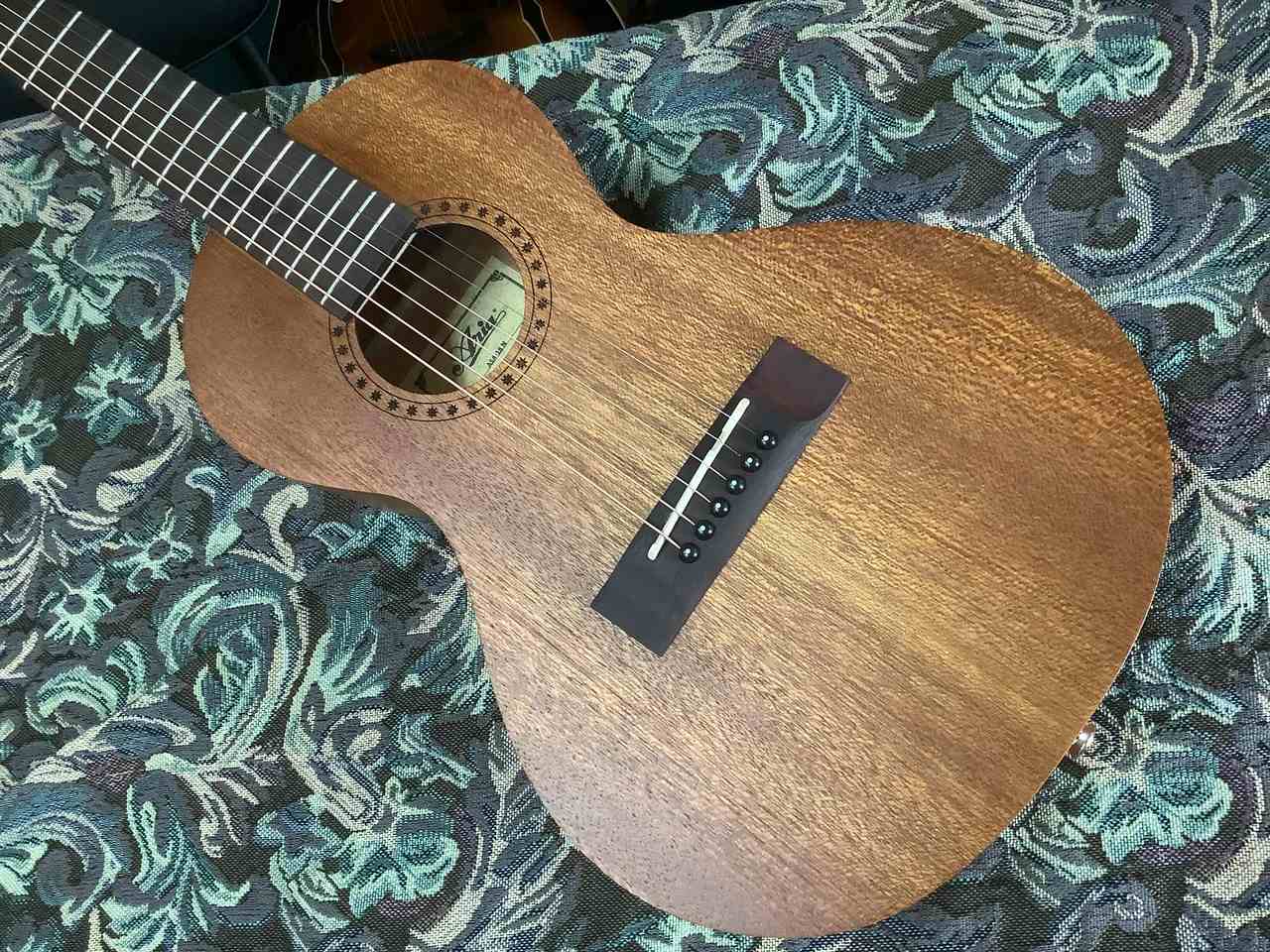 ARIA ASA-18 トラベルギター ミニギター マイク搭載 アンプに繋げる