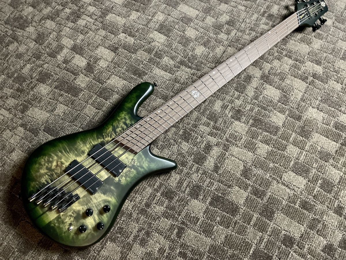 Spector NS DIMENSION MS 5 Haunted Moss Matte 選定個体 4.29kg