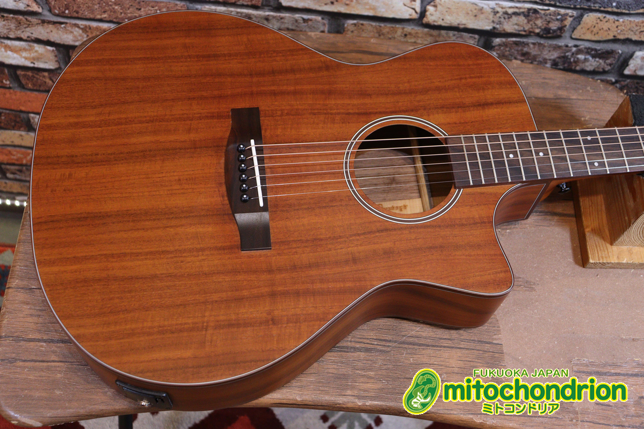 ARIA AF-107KACE / Natural, Open Pore, Matt（新品特価）【楽器検索