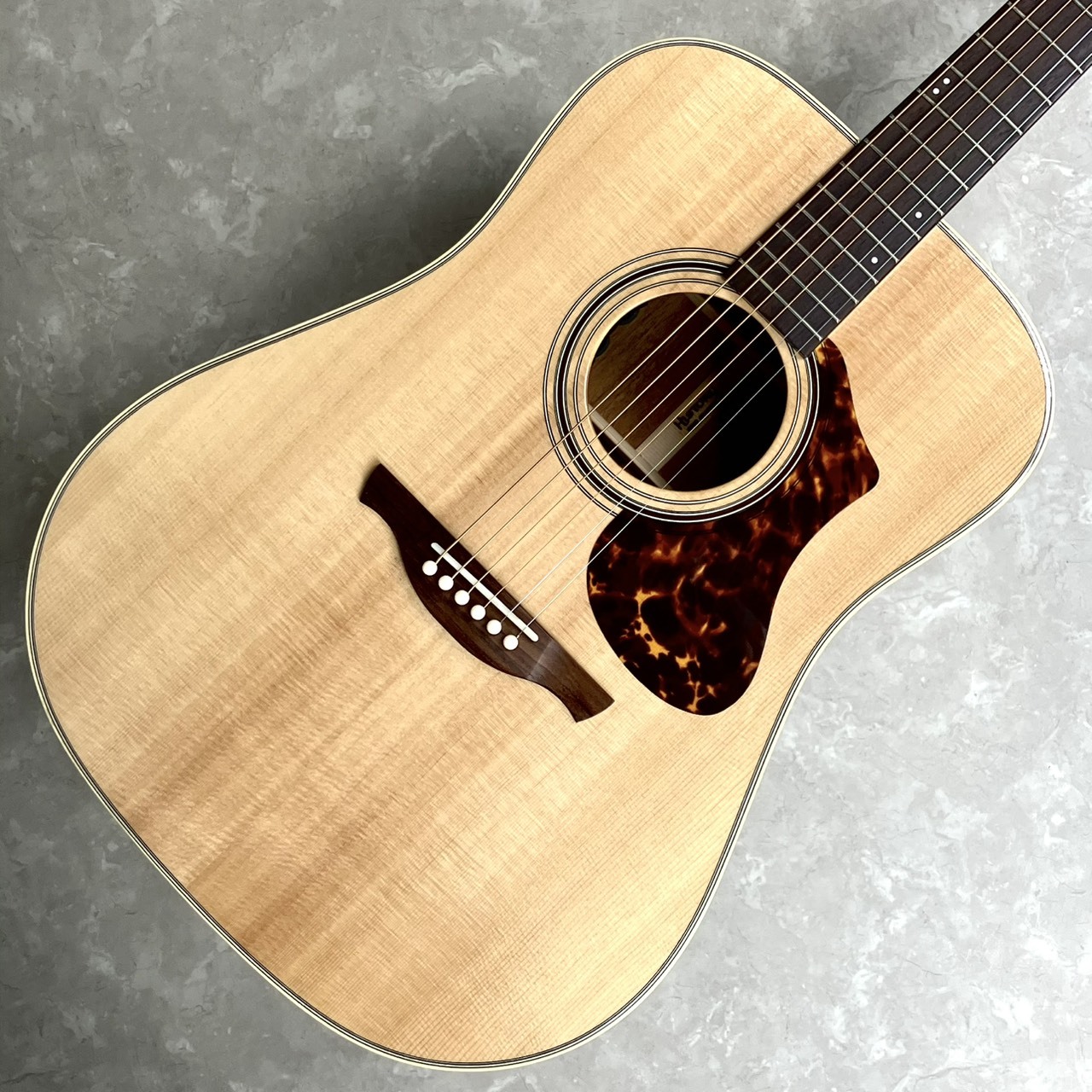 History nt-l4アコースティックギター ハードケース付き 生産完了