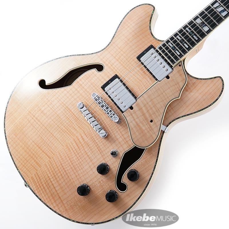 Ibanez ARTSTAR ASV113-RNT 【特価】（新品特価）【楽器検索デジマート】