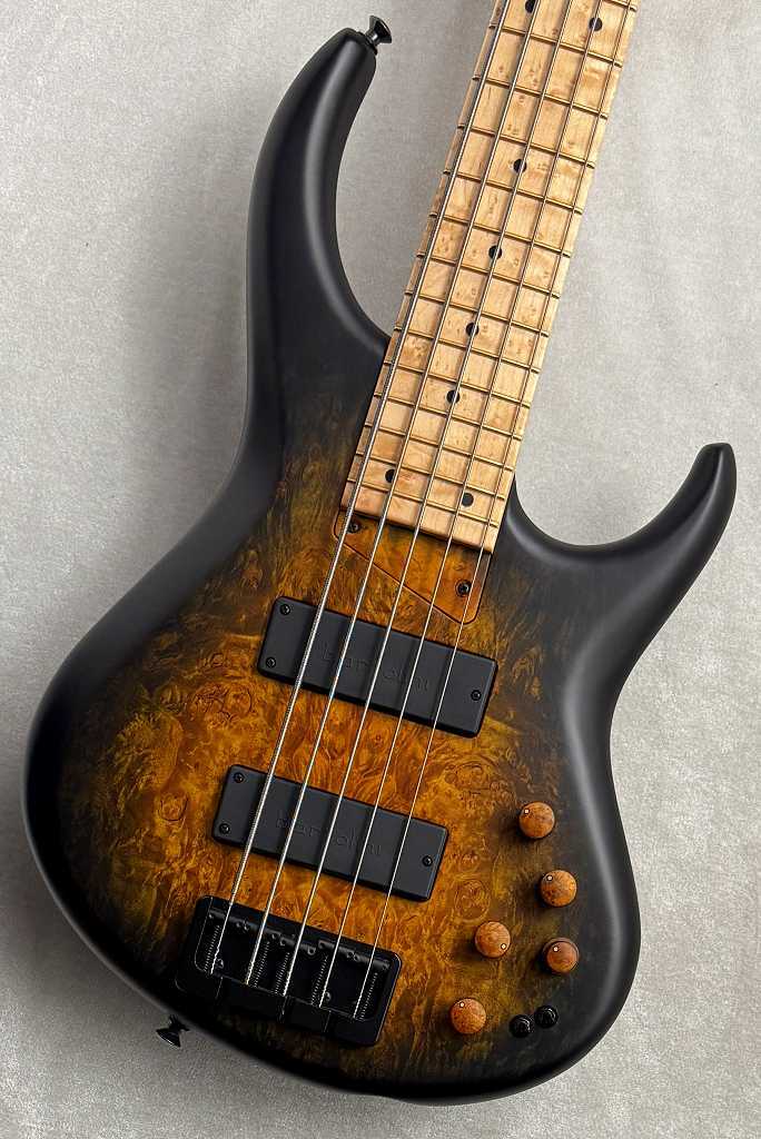 MTD 535-24 -Maple Burl Top-【NEW】（新品/送料無料）【楽器検索