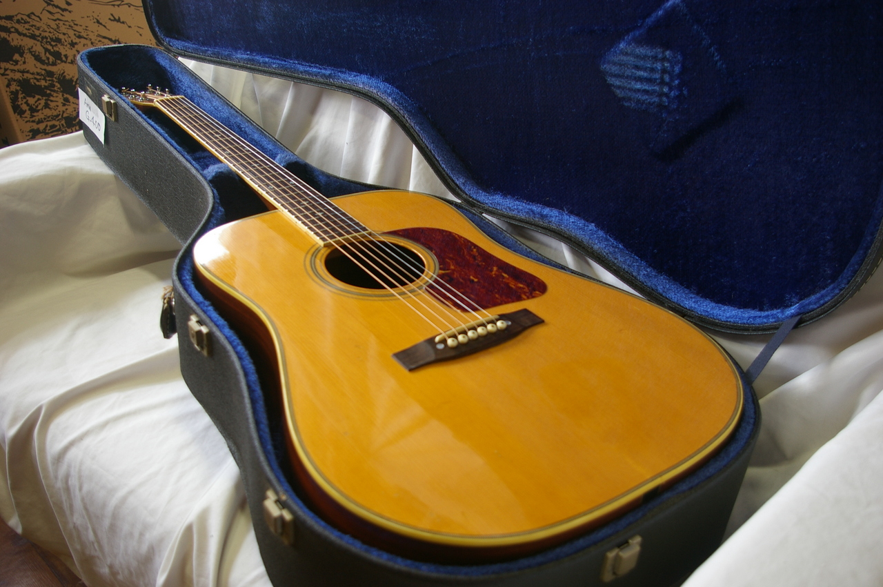 ARIA G-400（中古）【楽器検索デジマート】