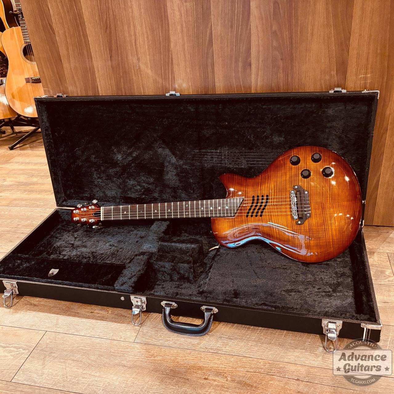 ギター Landscape SE-01N/N SE-01N - | Hookup, Inc.