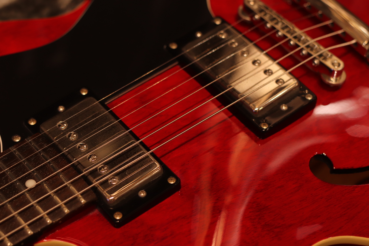 Epiphone DOT Cherry 2016 w/純正ハードケース（中古）［デジマート