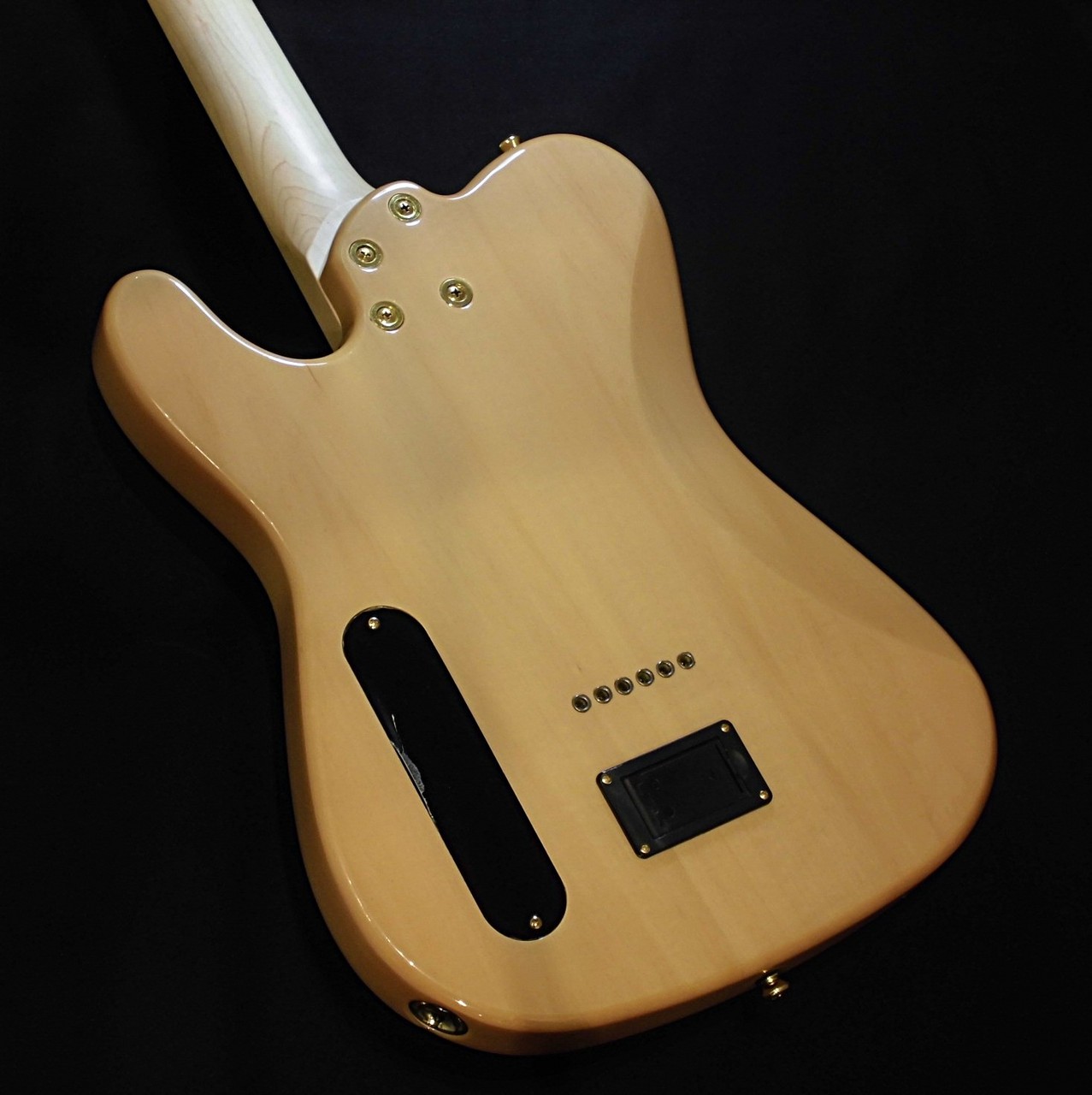 Aria Pro 日本製 natural Aria Pro II TEG-780 / Natural【アウトレット特価 !! 】（B級特価