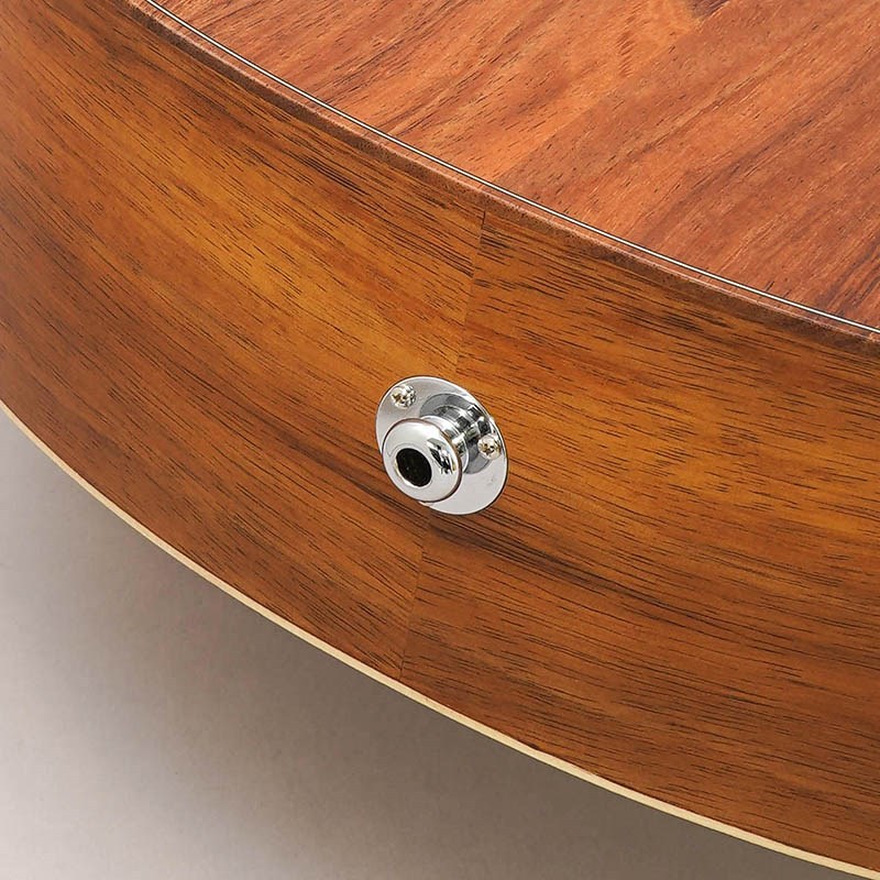 Taylor 【数量限定特価】Taylor GS Mini-e Koa テイラー（新品