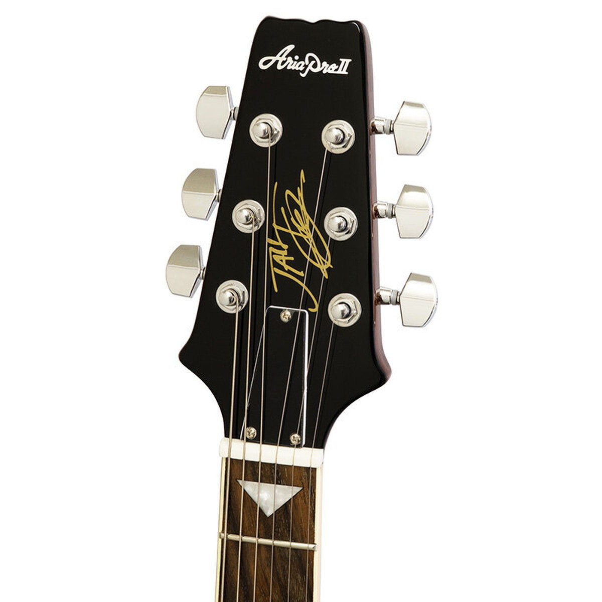 ARIA PE-JAIL 2025 BDSB Bloody Sunburst 大橋隆志シグネチャーモデル