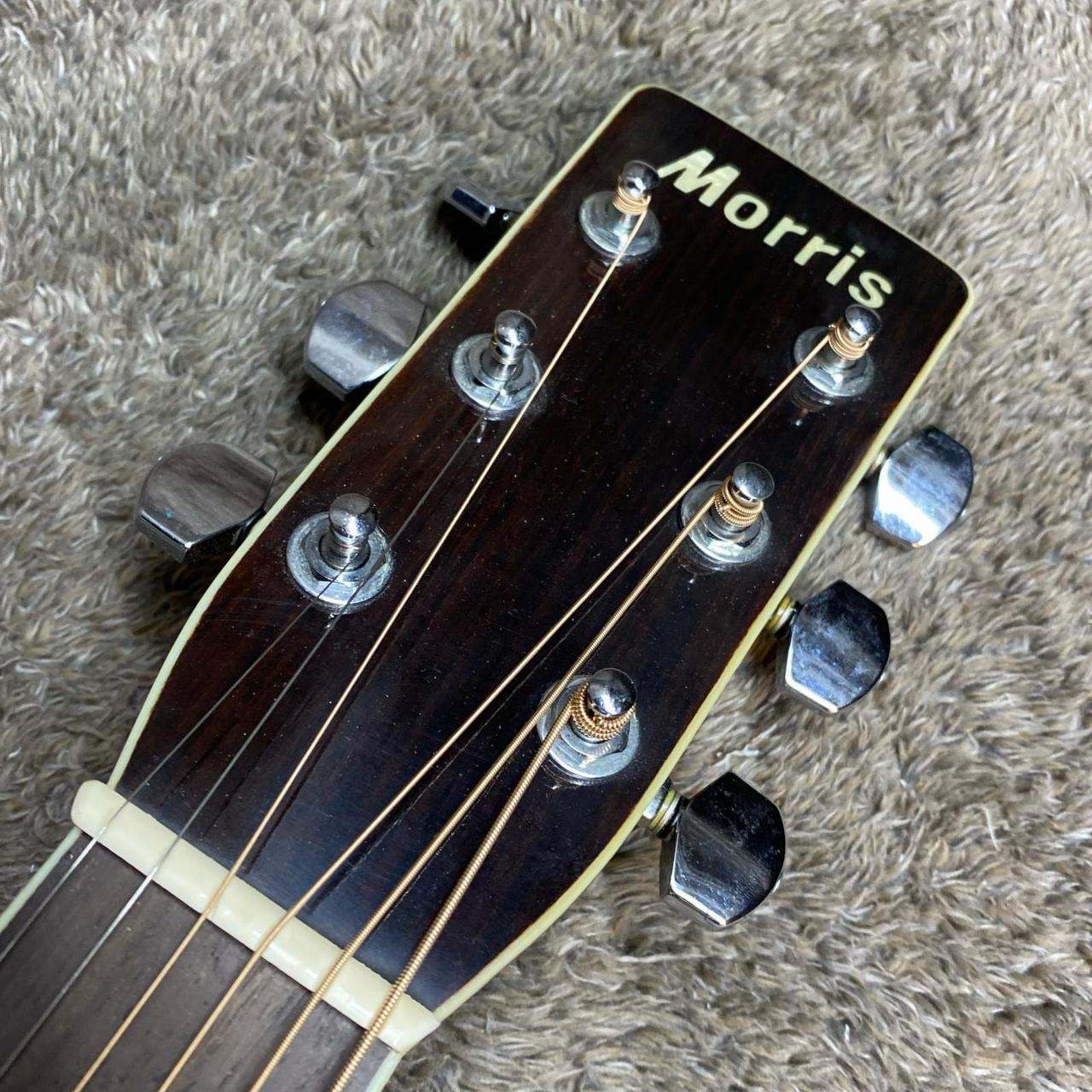Morris W-30 Lefty【尾張小牧店】（中古/送料無料）【楽器検索