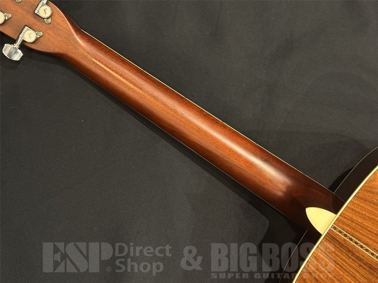 Morris MF501 / Natural（中古/送料無料）【楽器検索デジマート】