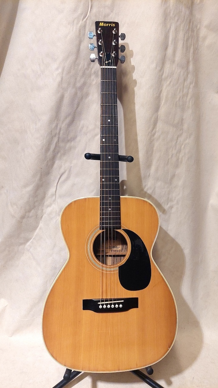 Morris F-18 アコースティックギター Morris F-18(中古)【楽器検索デジマート】