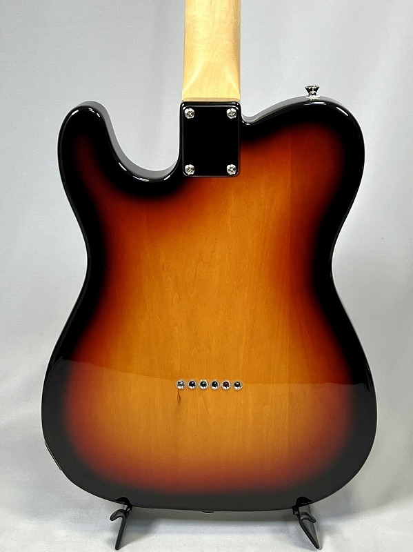 FUJIGEN(FGN) Basic Classic BCTE100RBD-3TS (3Tone Sunburst)（新品