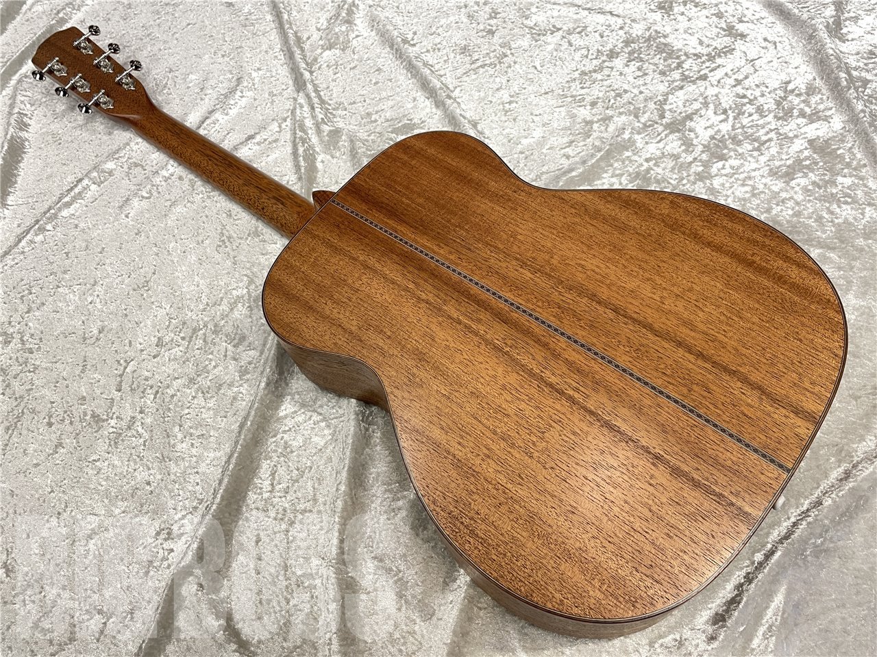 Morris FLB-81【Natural】（新品/送料無料）【楽器検索デジマート】